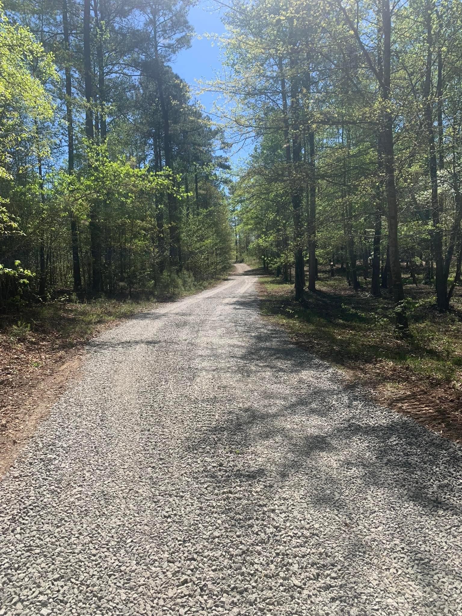 Flatline Forestry land clearing, forestry mulching, and dirt work project in Middle Georgia — photo 21