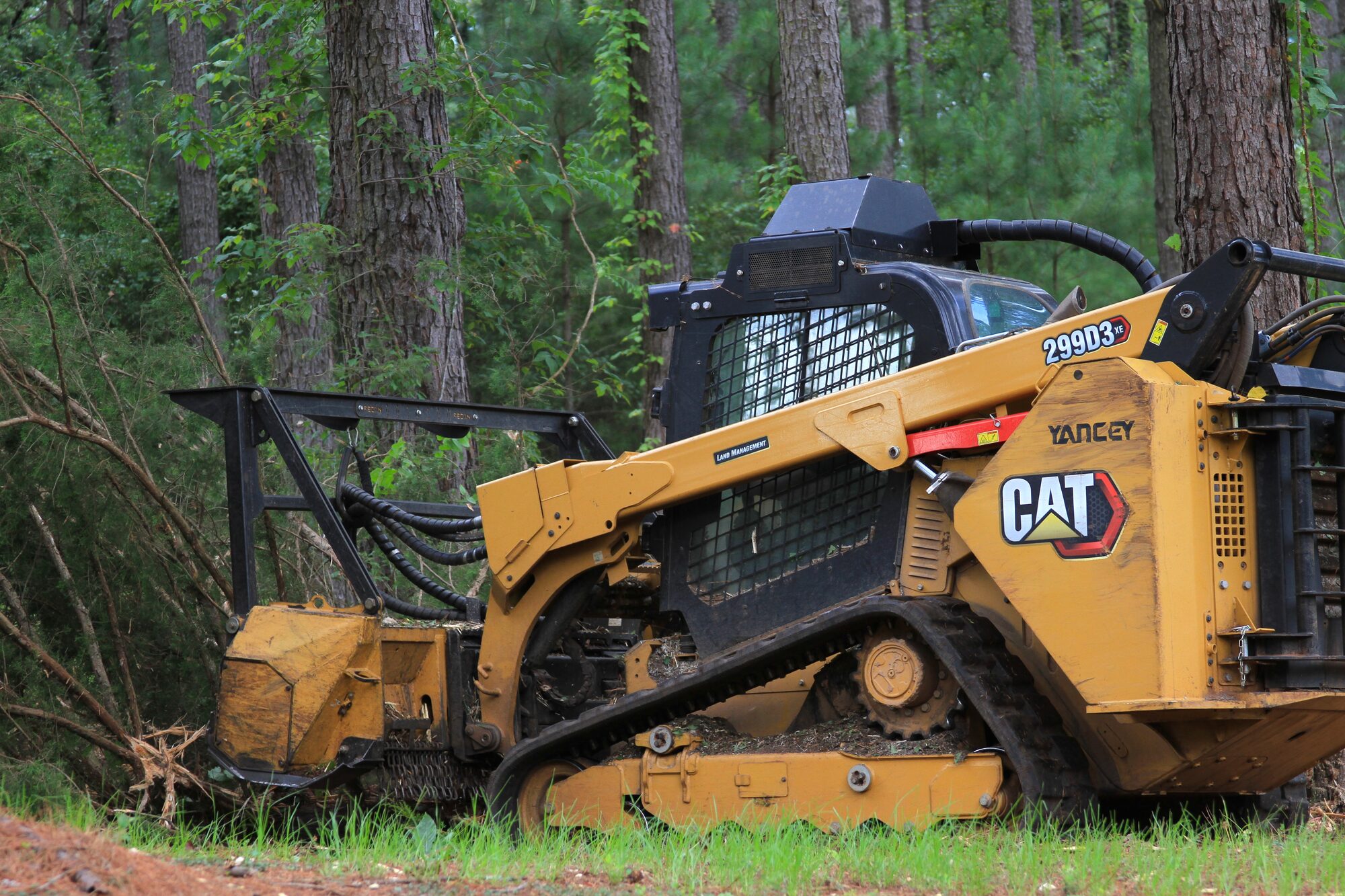 Flatline Forestry land clearing & mulching project
