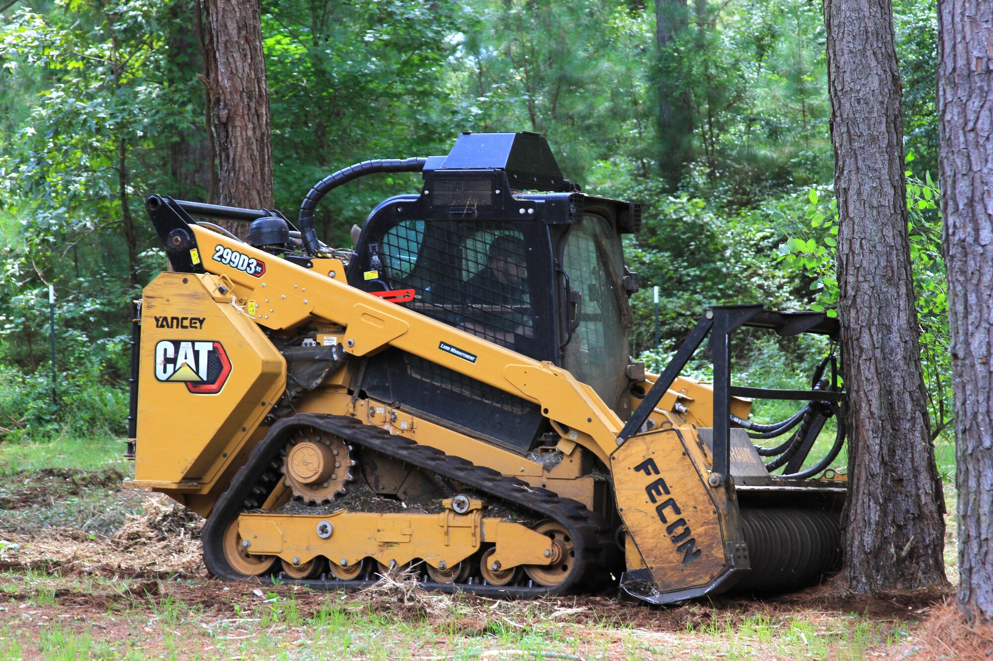 Flatline Forestry land clearing, forestry mulching, and dirt work project in Middle Georgia — photo 4