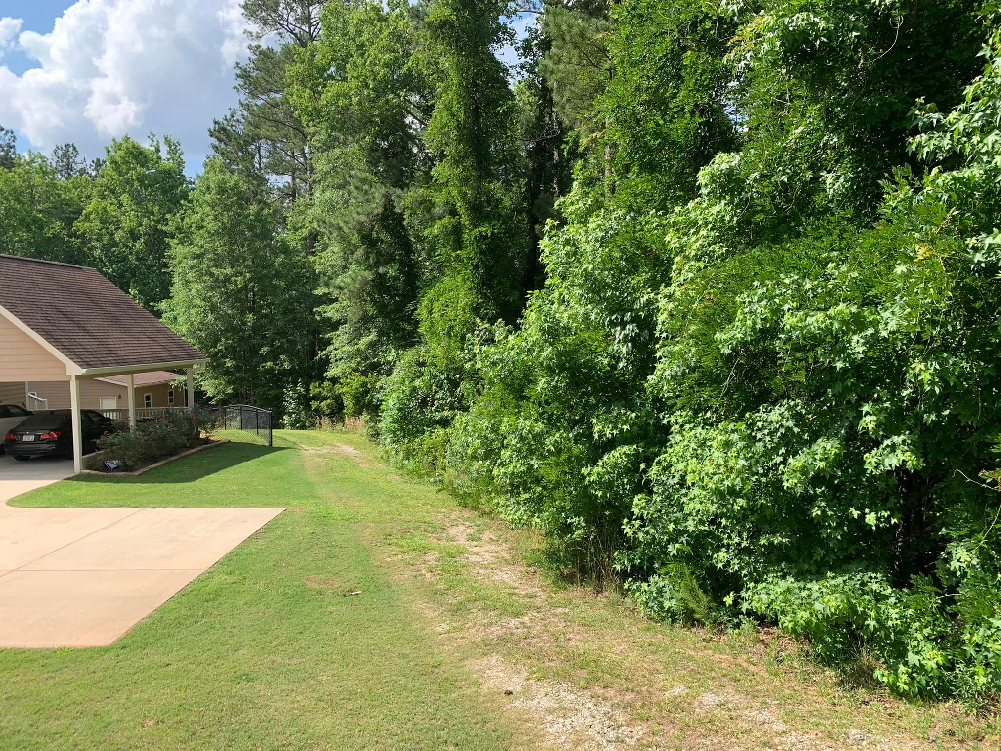 Flatline Forestry land clearing & mulching project
