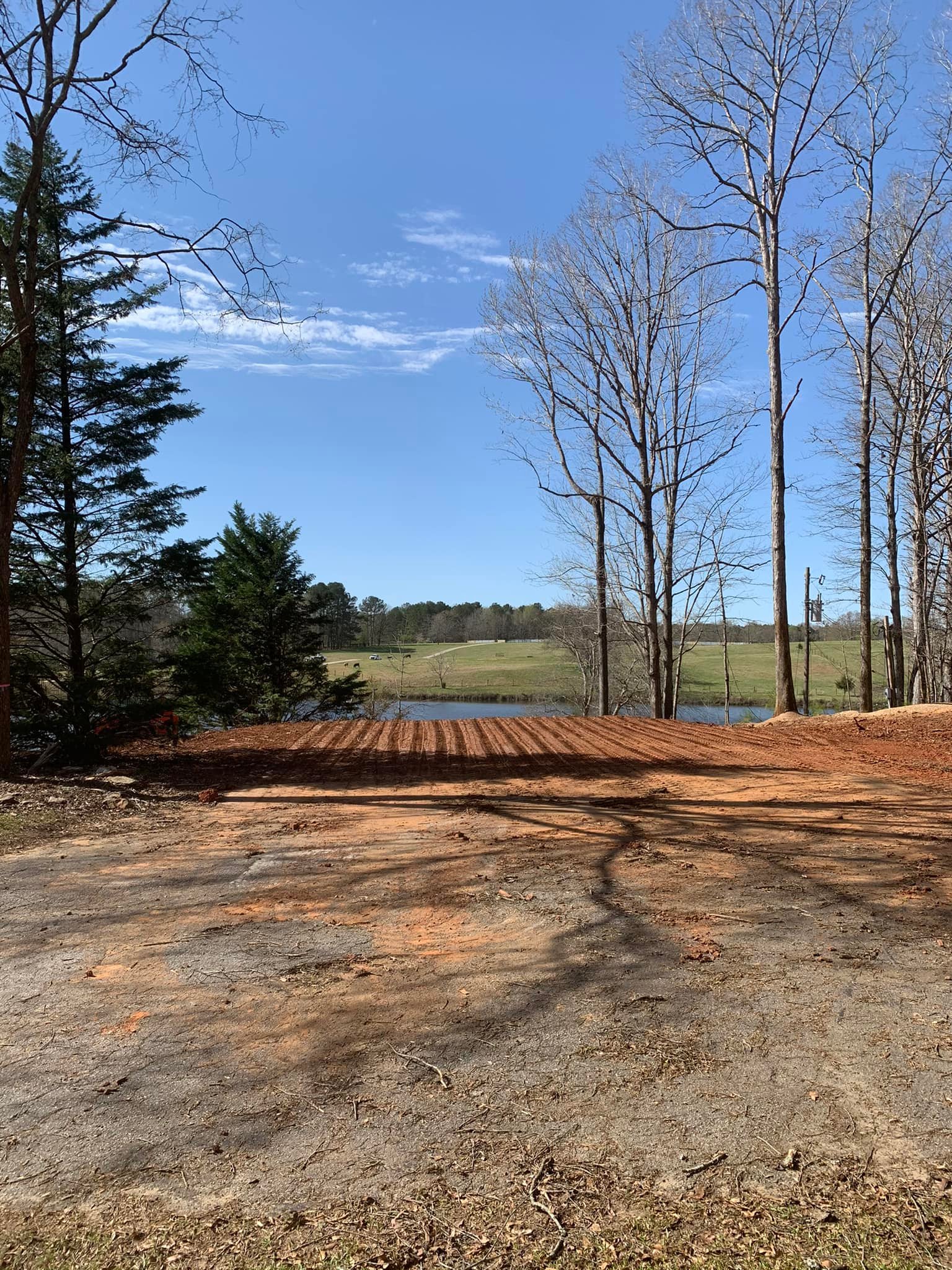 Flatline Forestry land clearing, forestry mulching, and dirt work project in Middle Georgia — photo 16