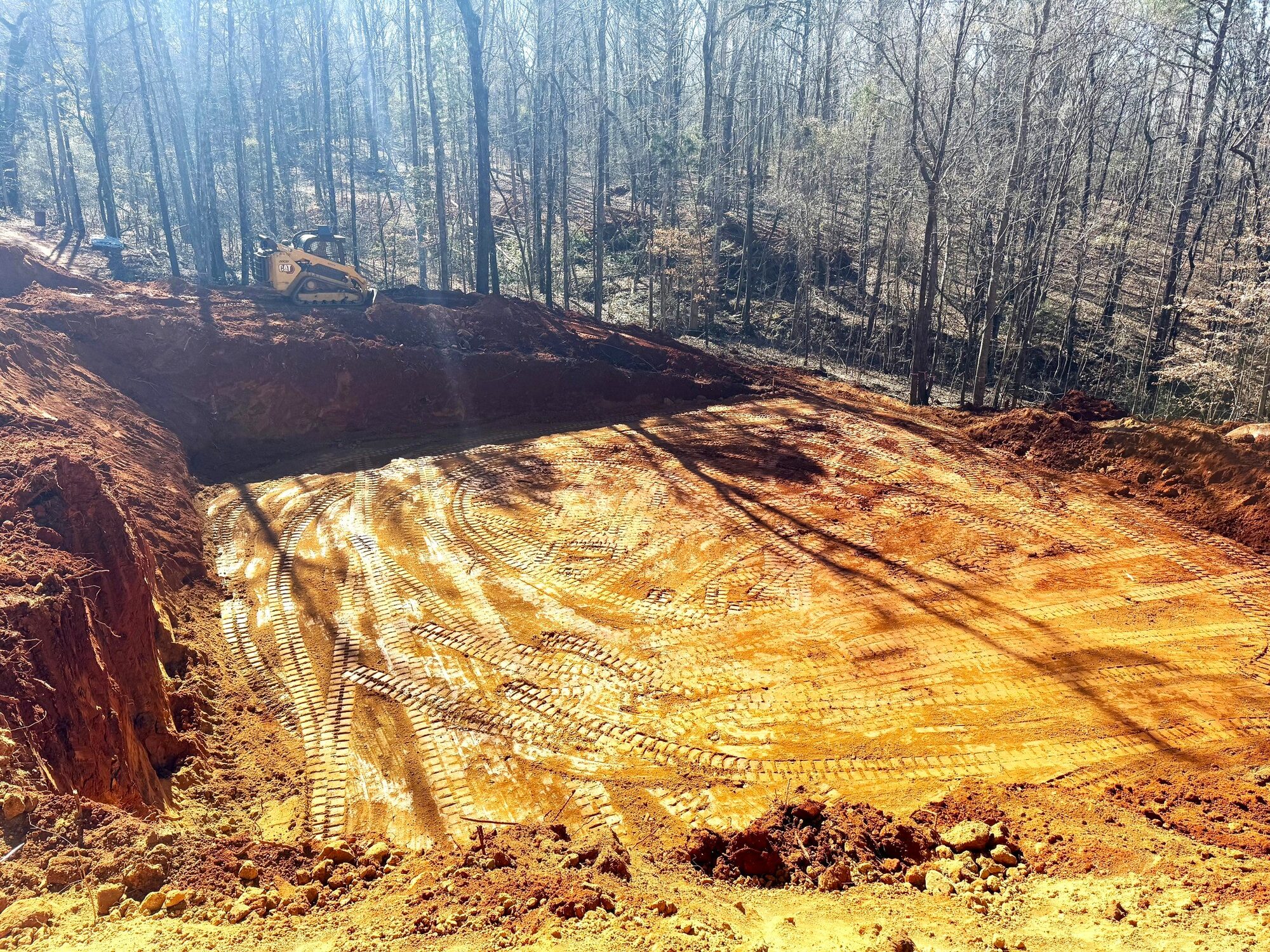 Flatline Forestry land clearing, forestry mulching, and dirt work project in Middle Georgia — photo 23