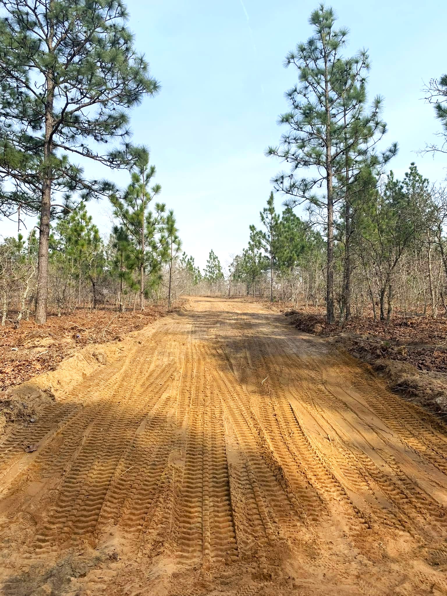 Flatline Forestry land clearing & mulching project