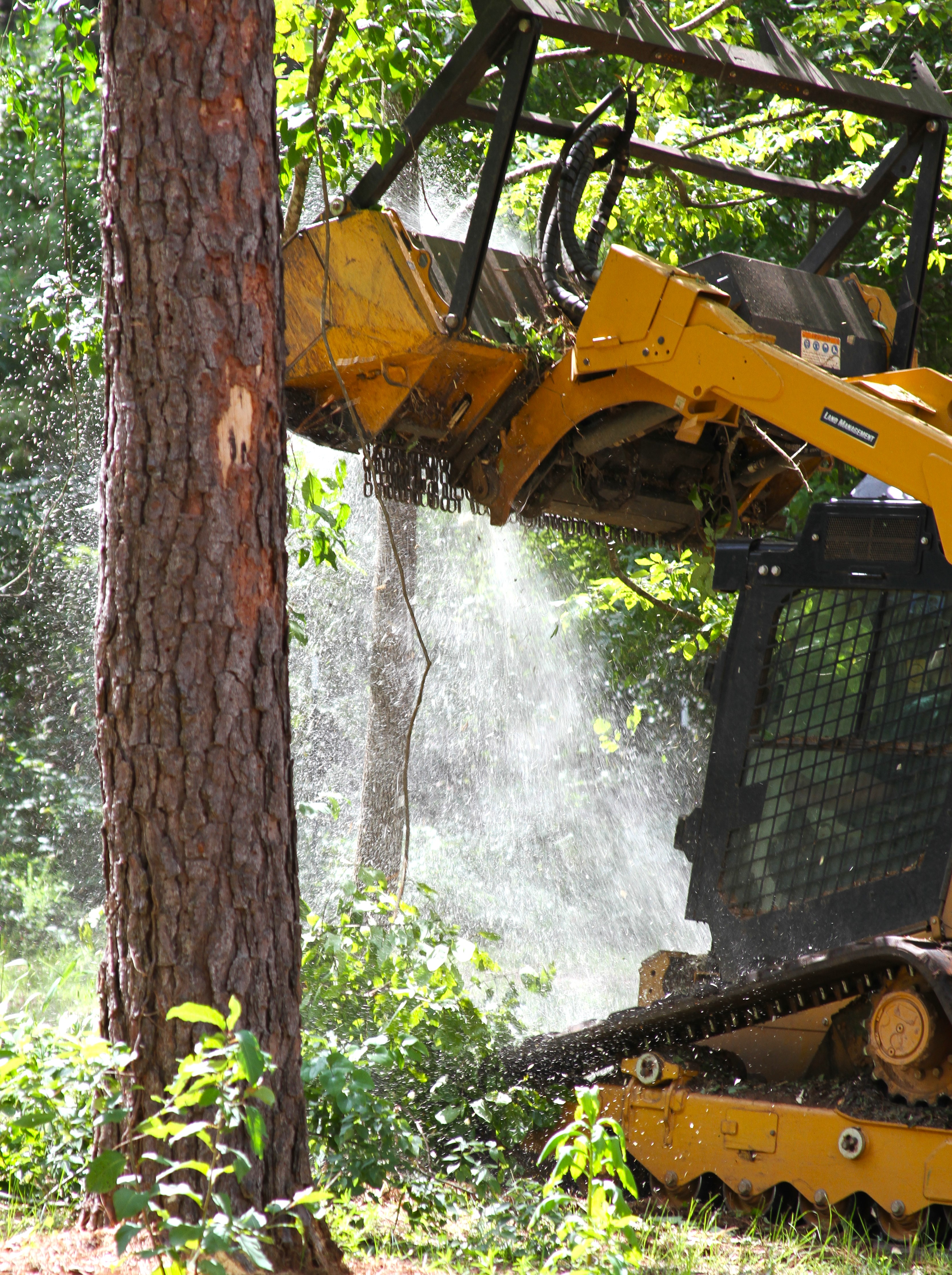 Flatline Forestry land clearing & mulching project
